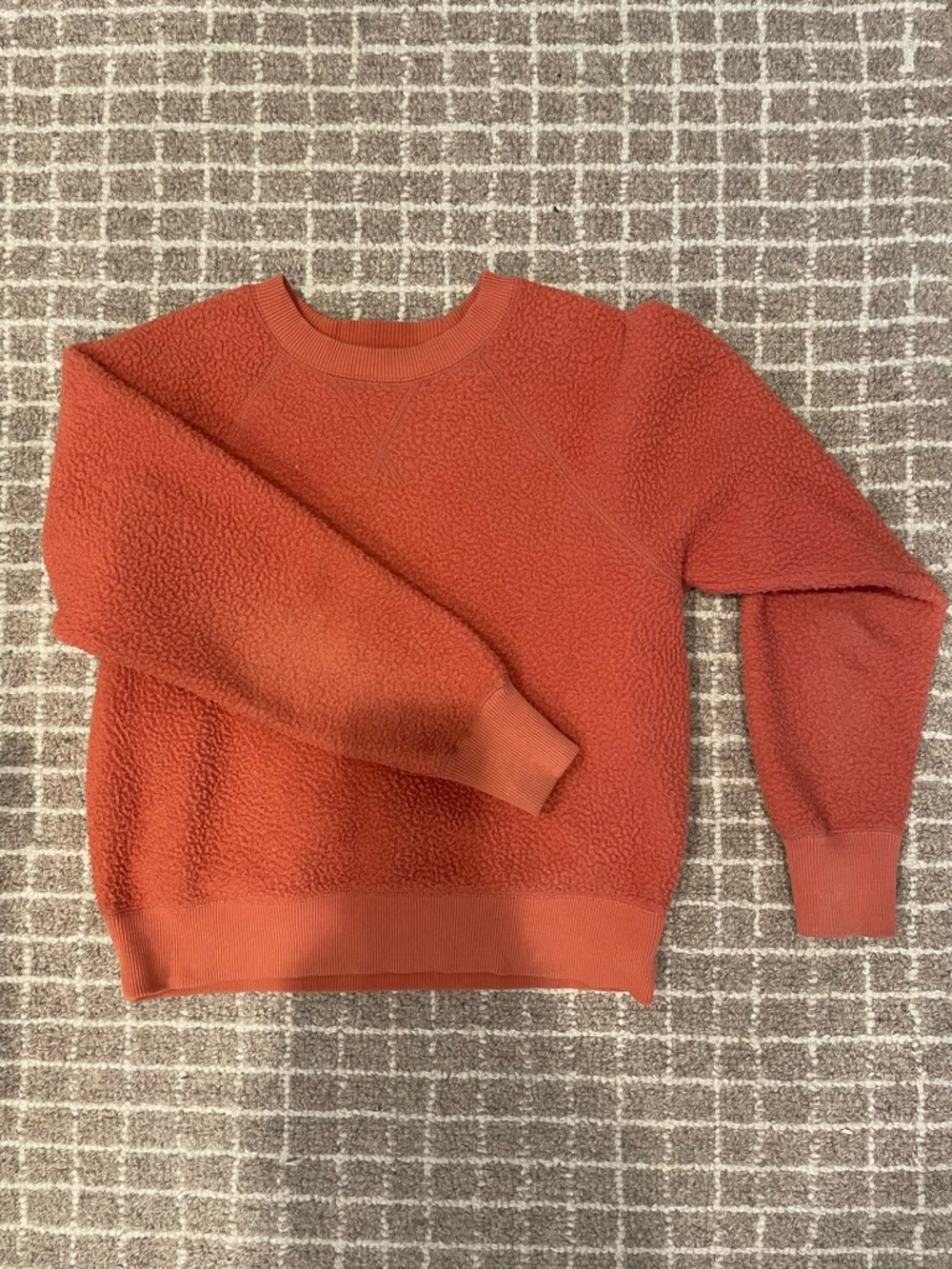 Everlane ReNew Fleece Crewneck Sweater